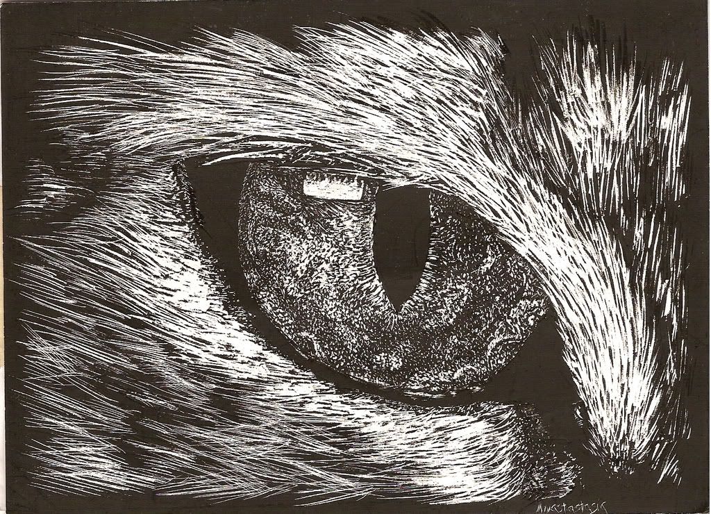 Scratchboard Eye Photo by anastasia_usk Photobucket