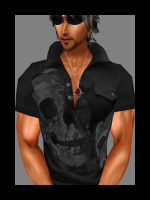 http://www.imvu.com/shop/product.php?products_id=4981287
