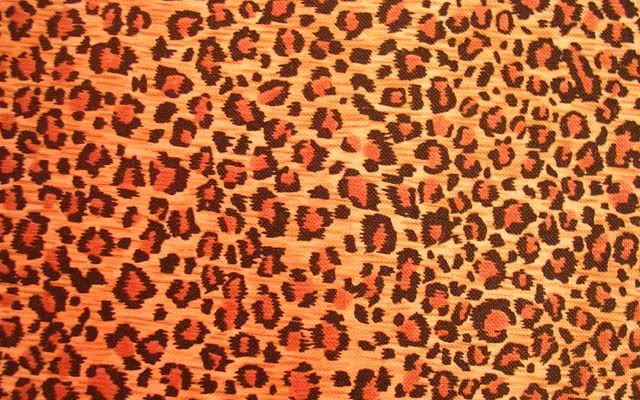 cheetah print wallpaper