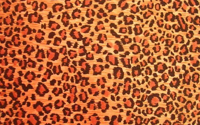 cheetah print background. Cheetah Print Image