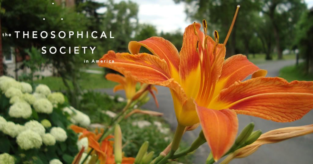 Theosophical Society - Flowers 