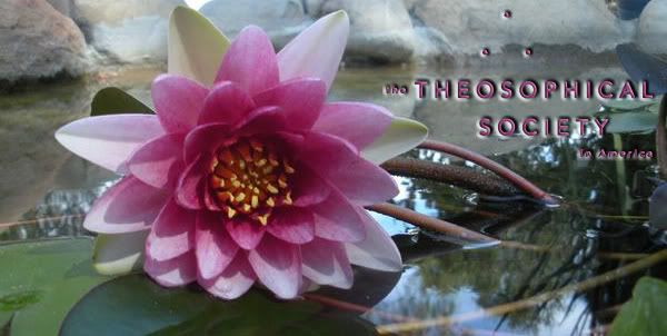 Theosophical Society - Lotus Flower