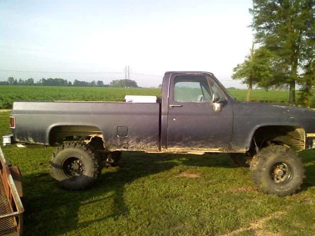 dobermann 1997, dobermann 1997,