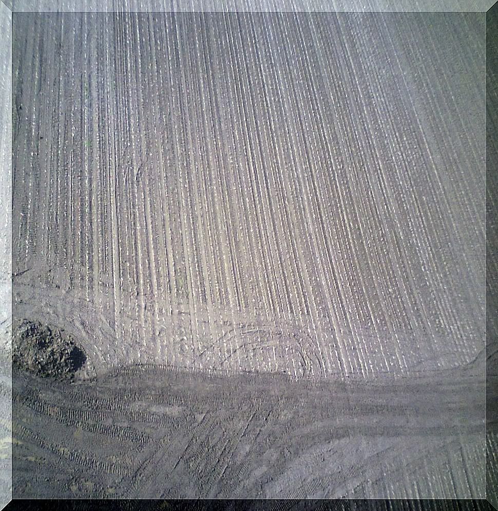 Born-Lucht1401200915.jpg