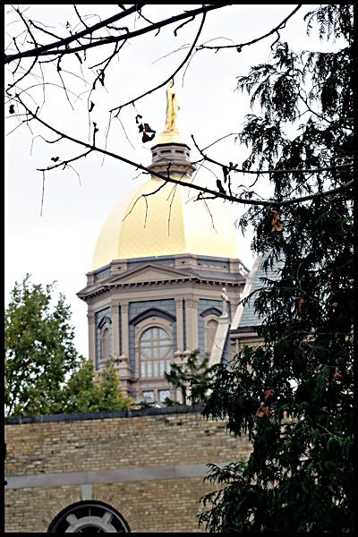 the golden dome, nd, 10.10