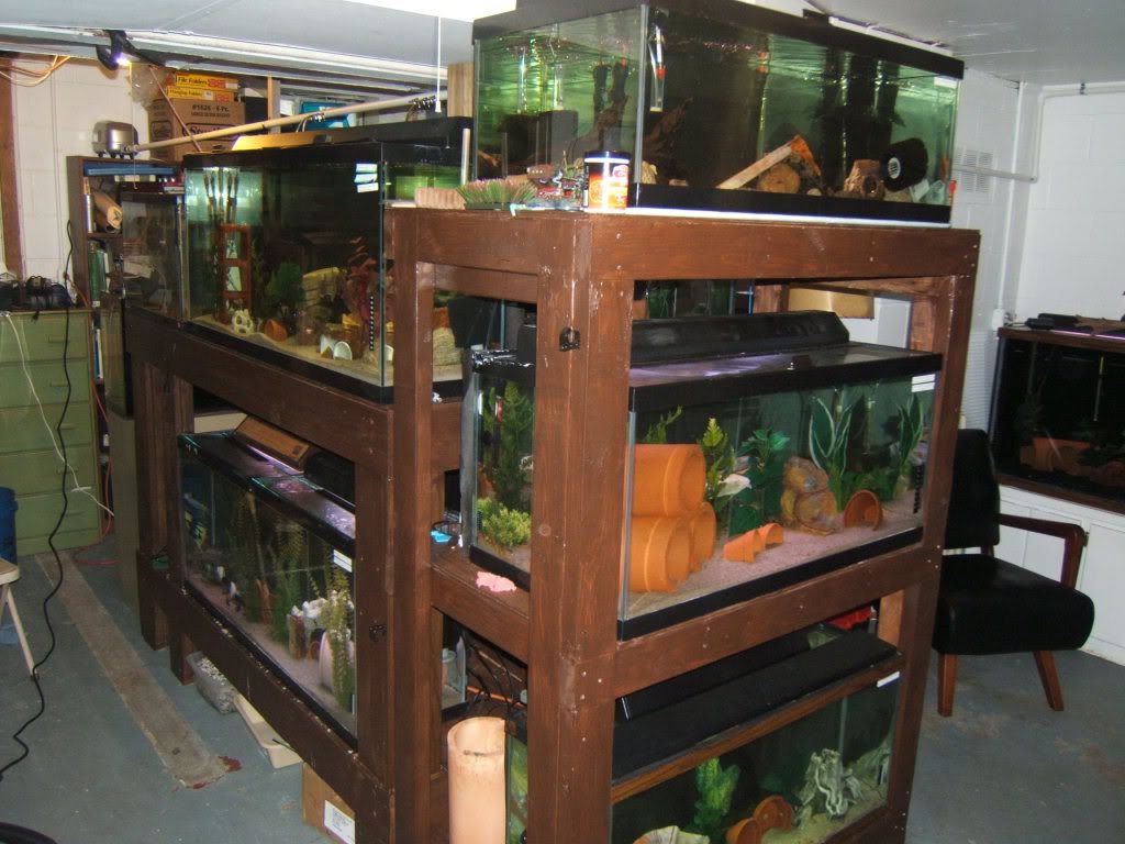 Kerby's Fishroom 