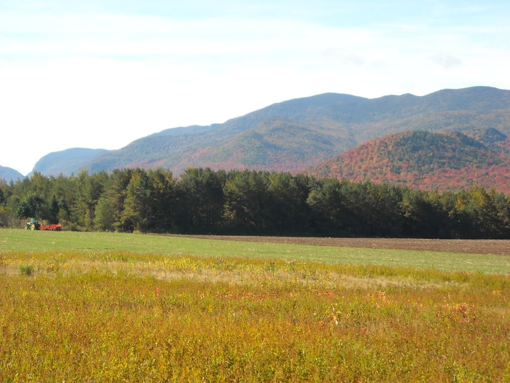 AdirondackTrip034.jpg