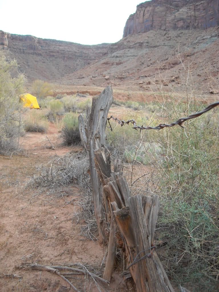MoabwithAlex240.jpg