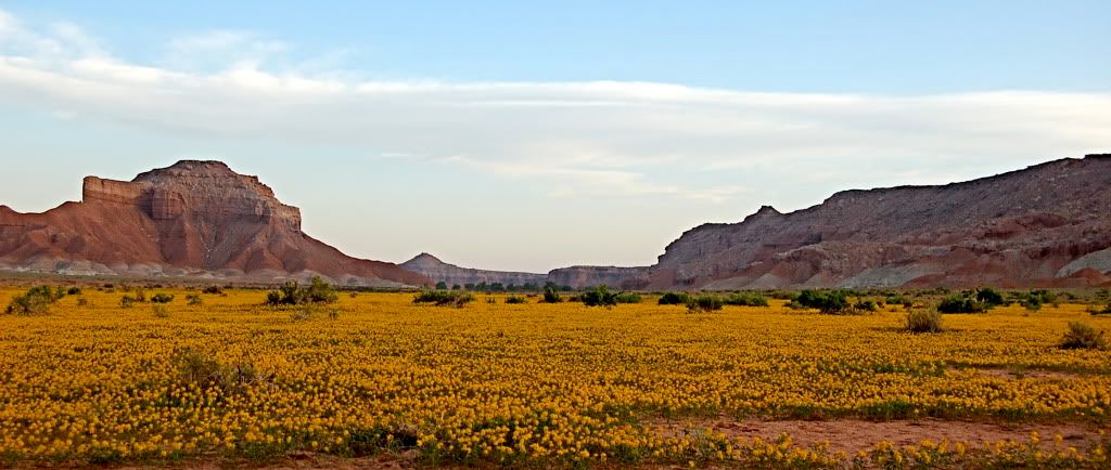 DSC_0031.jpg