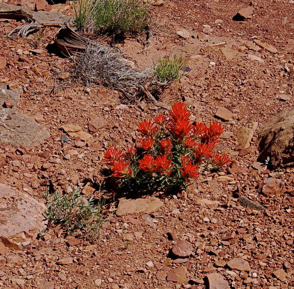 DSC_0075.jpg