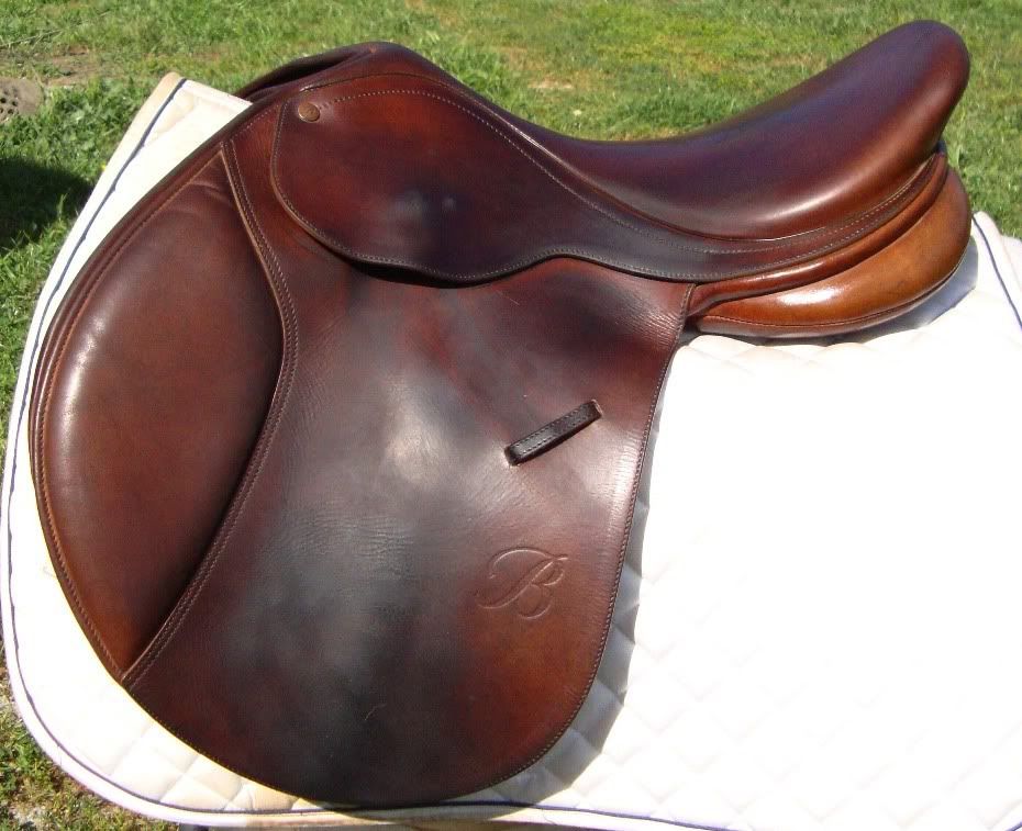 close contact saddle