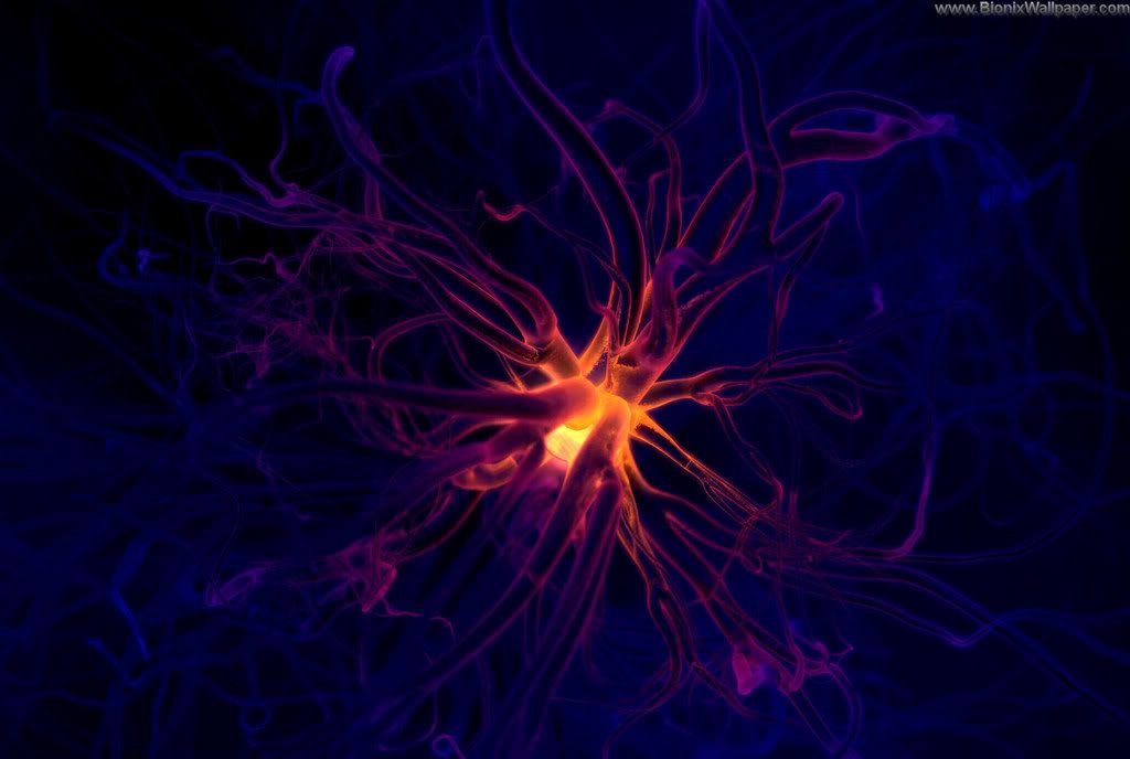 Neuron - JungleKey.fr Image #150