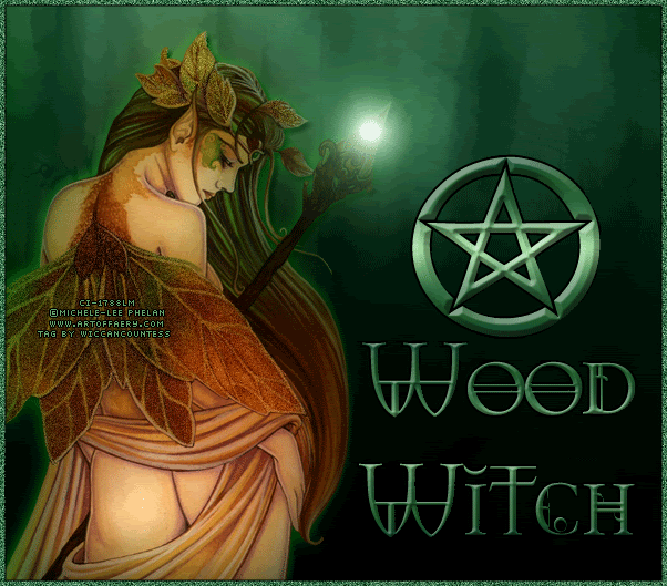 Myspace20Magick20-20Earth20Faerie20.gif Wood Witch image by Debbiewitchman