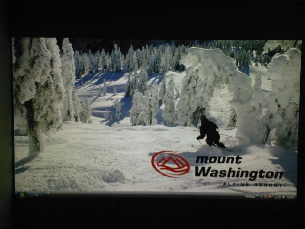 DIY projector screen paint finally found for the uk! black widow