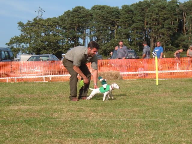 ashburtonshow008.jpg