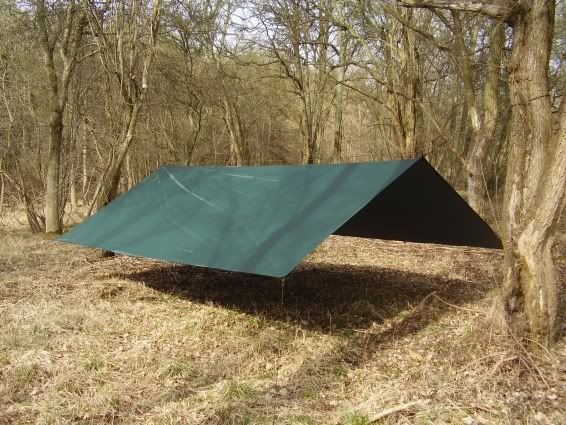 Andytarp3-s.jpg