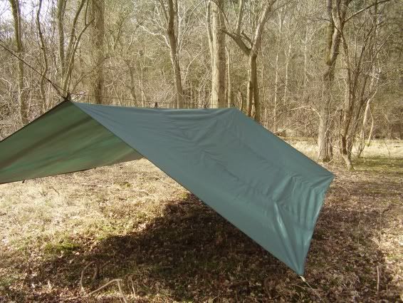 andytarp1-s.jpg