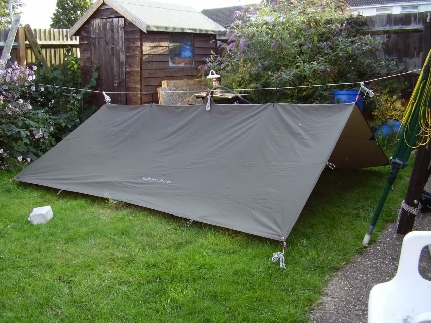 tarp4.jpg