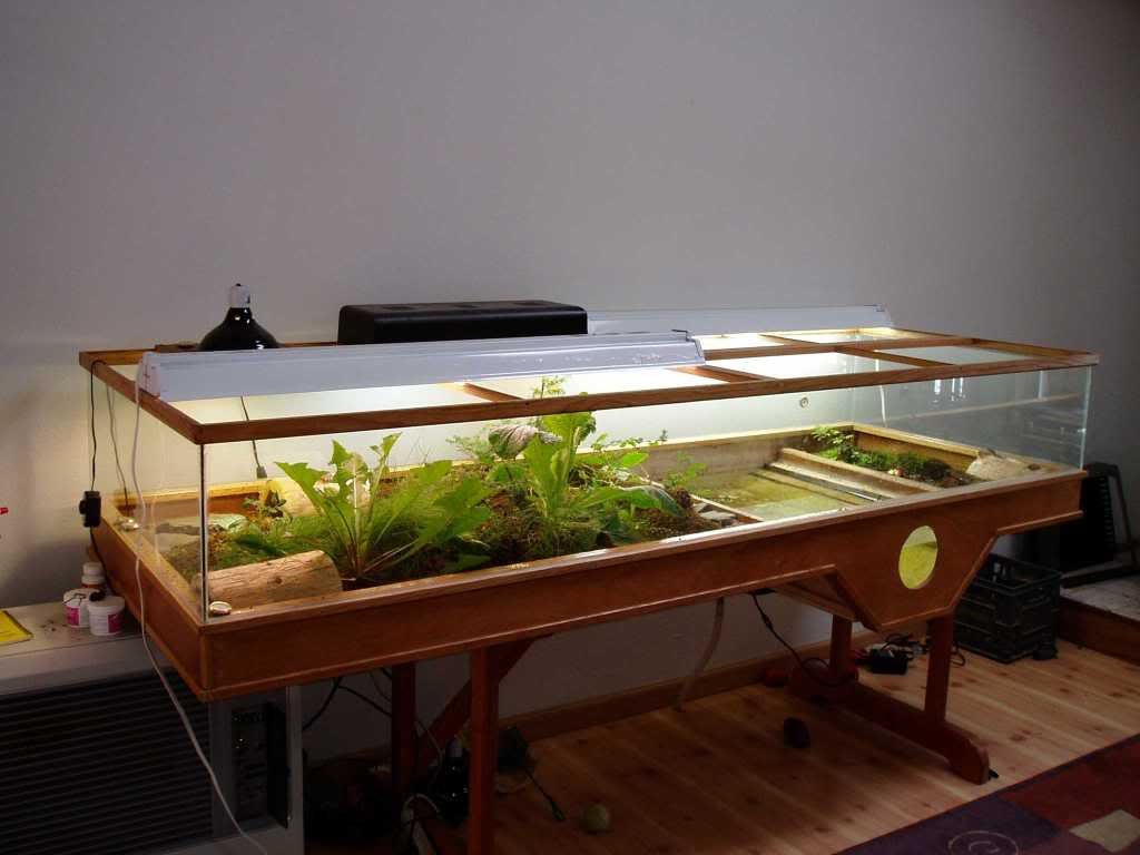 Indoor Turtle Habitats