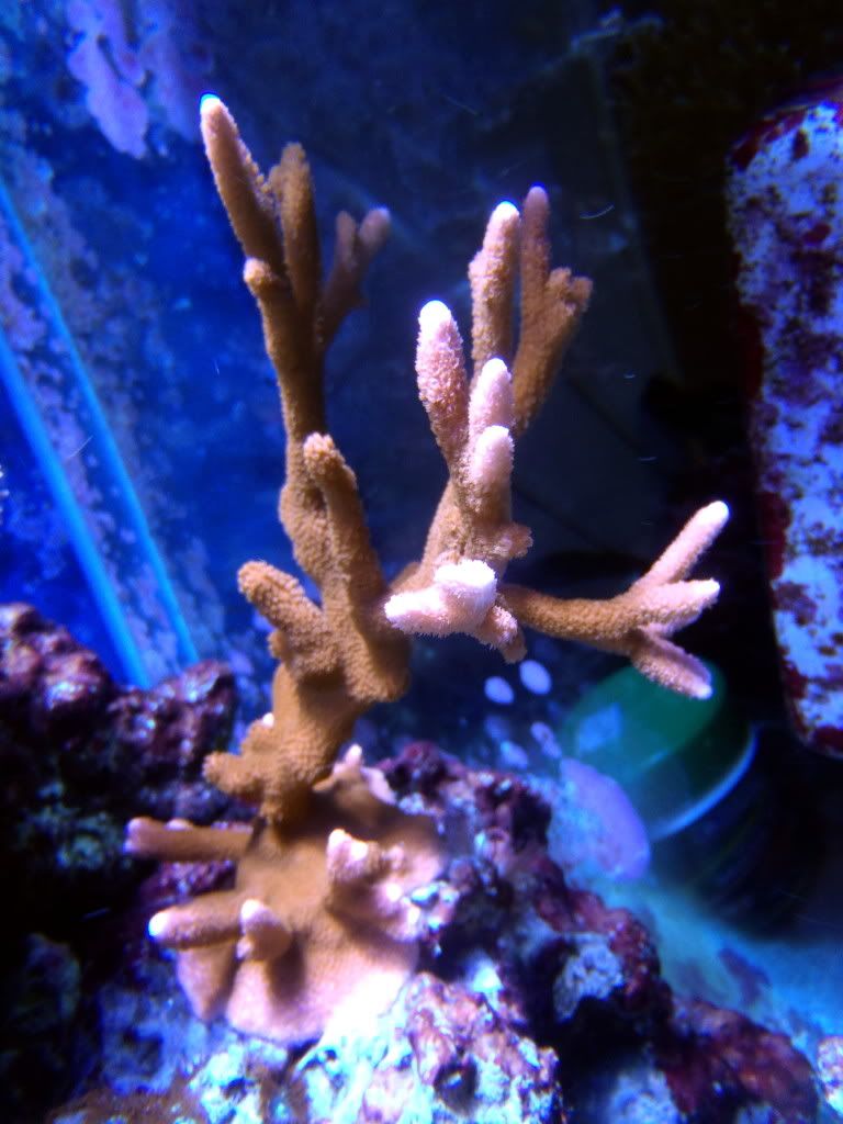 underwater8.jpg