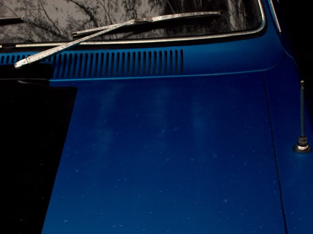 Clear coat gone cloudy Paint & Panel GMHTorana