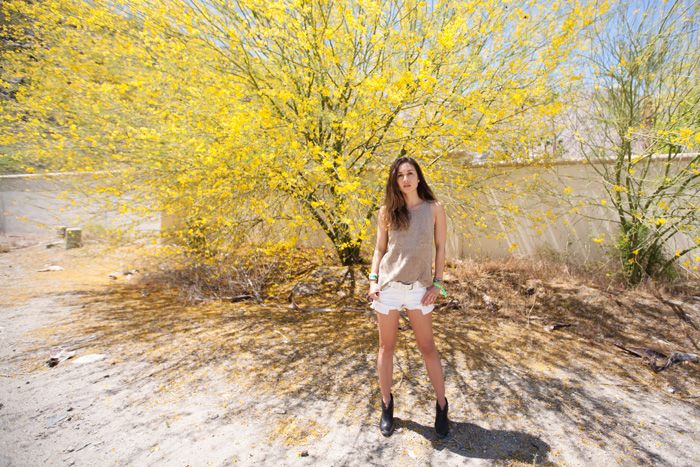 photo yellowtree1_zps4db8b49f.jpg