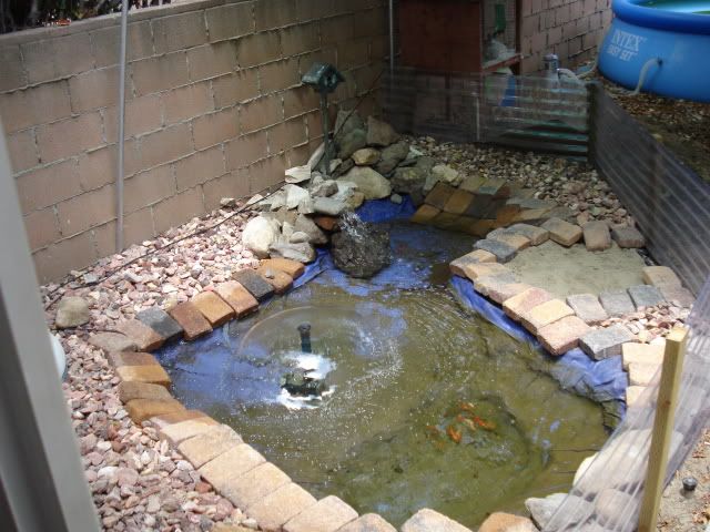 Picture148.jpg