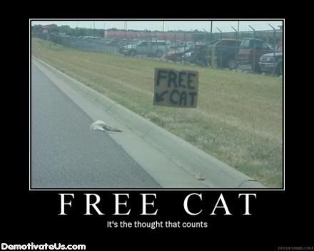 free cat wallpaper. free-cat-wallpapers-