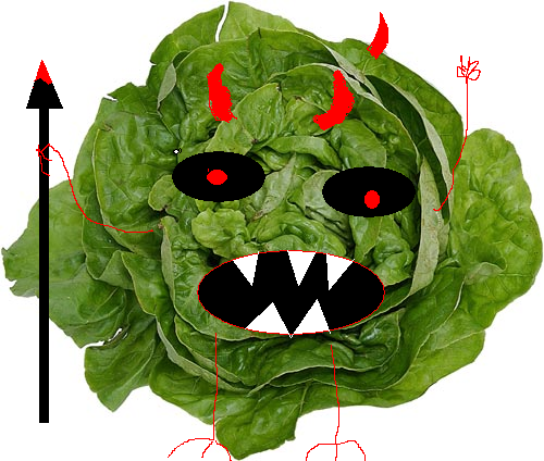 [Image: lettuce3-1.png]