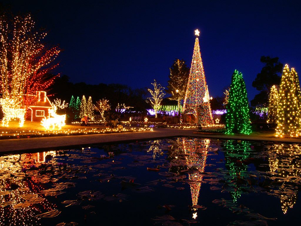  photo Beautiful-Christmas-tree-17-jpg_zps05fce160.jpg