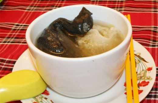 Yến sào kim tơ yến