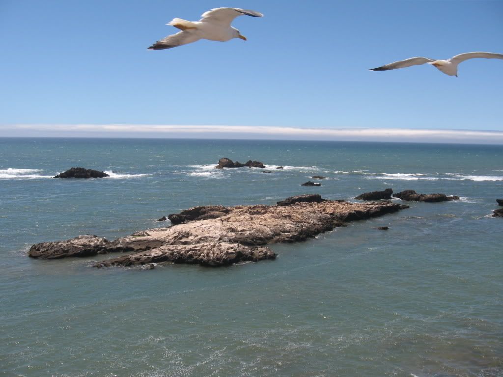 Imageouvido086.jpg