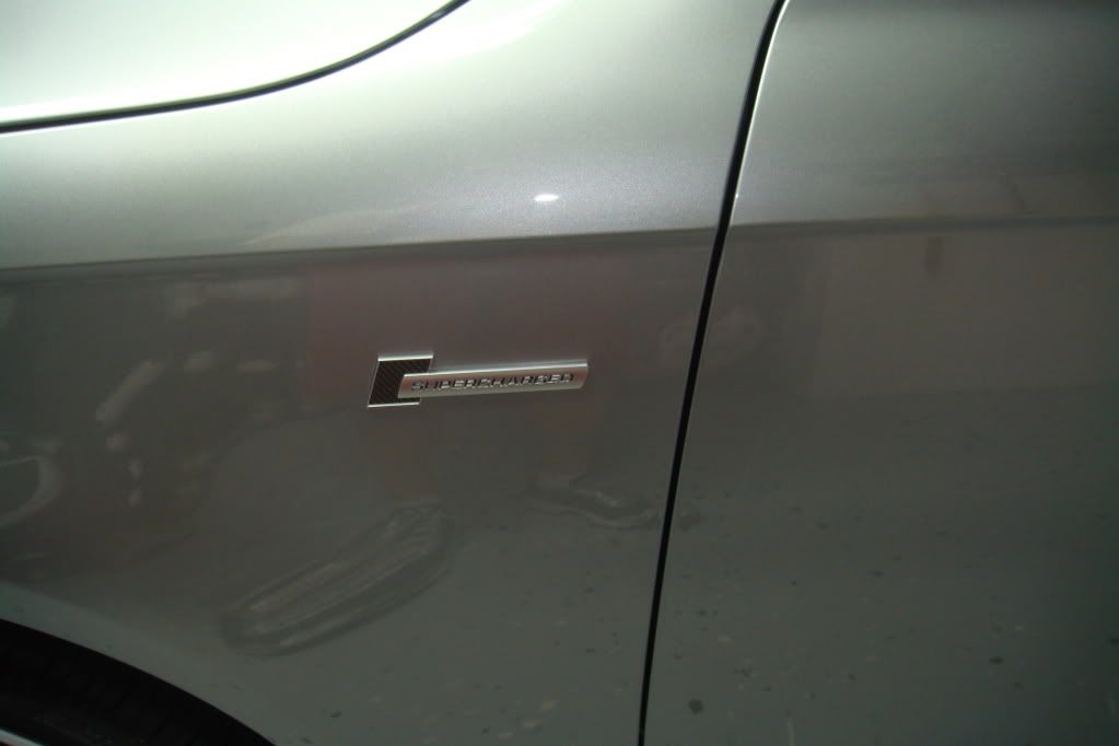 DSC01928.jpg