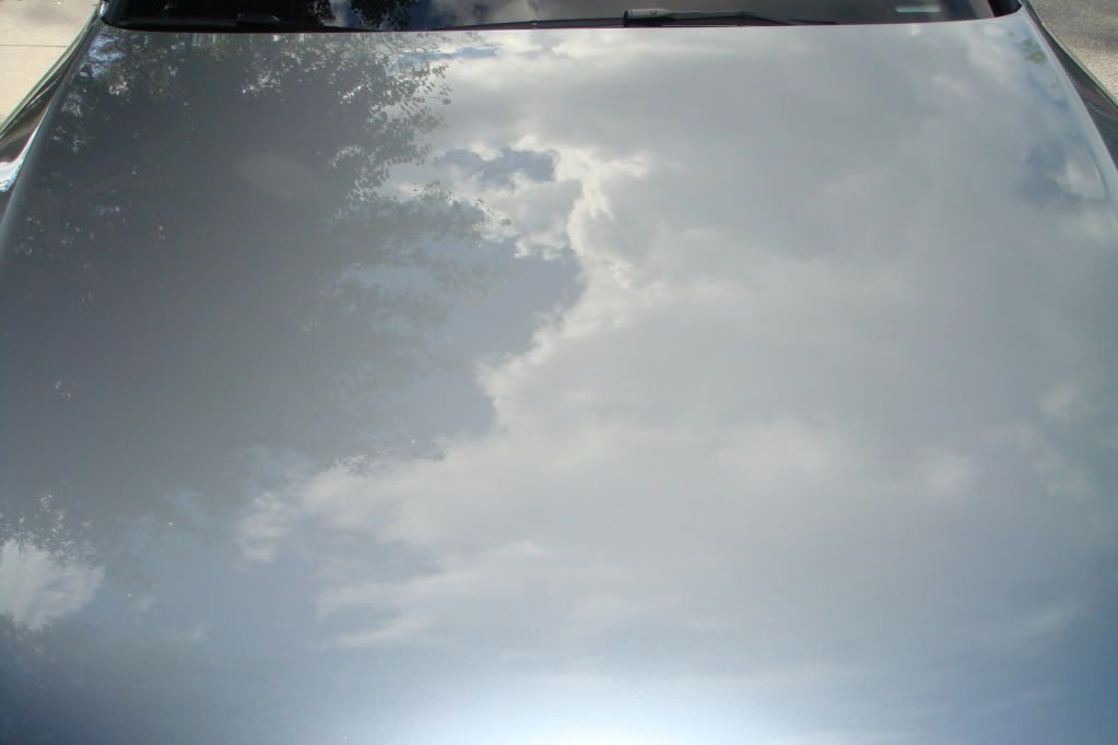 DSC01944.jpg