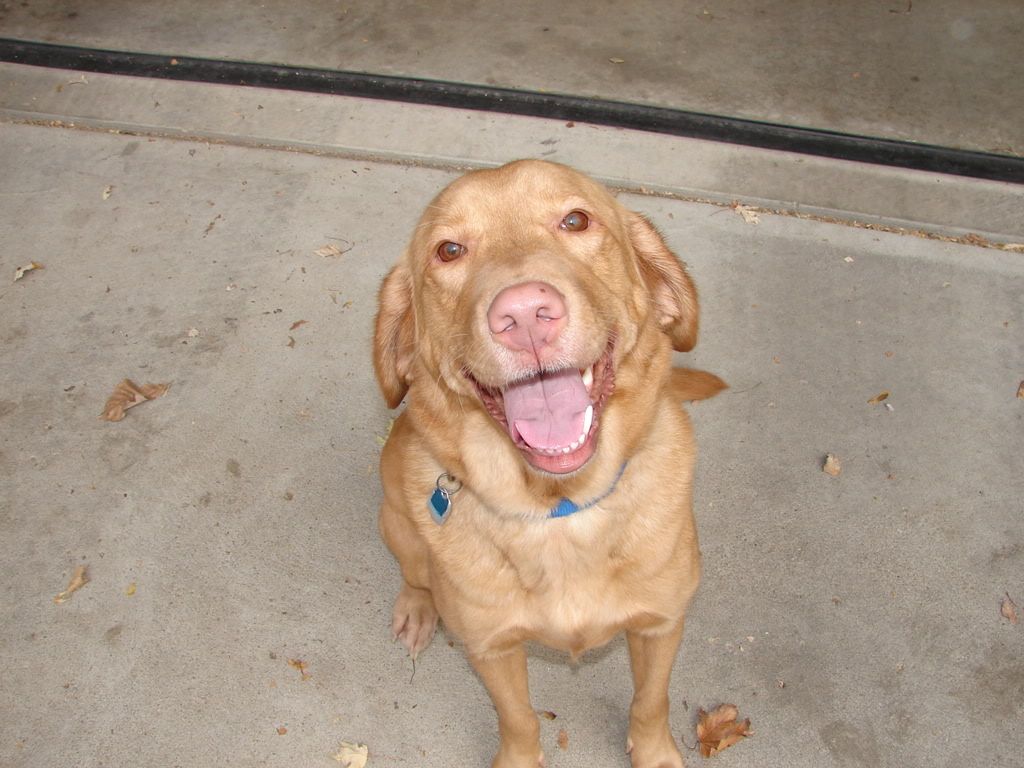 DSC00622.jpg