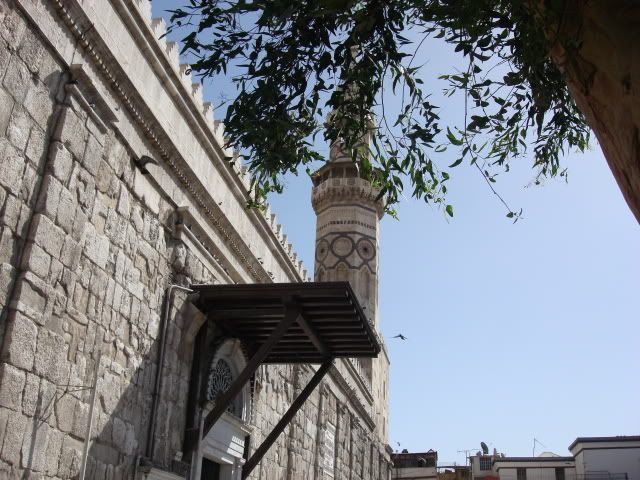 DSC01873.jpg