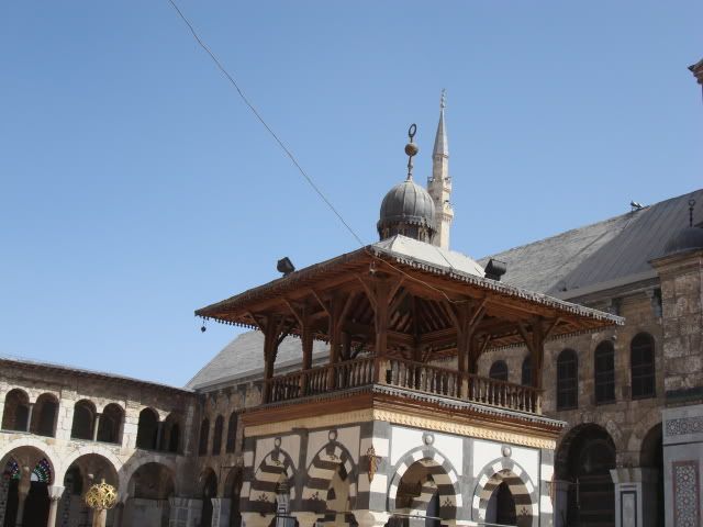DSC01883.jpg