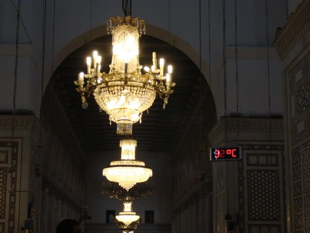 DSC01911.jpg