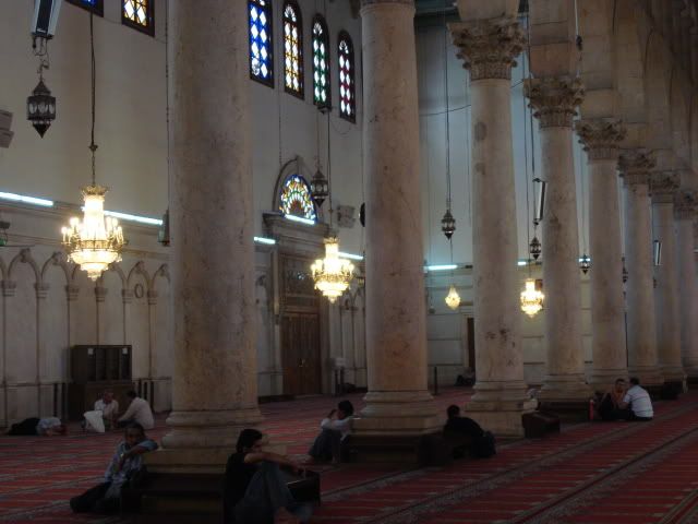 DSC01919.jpg