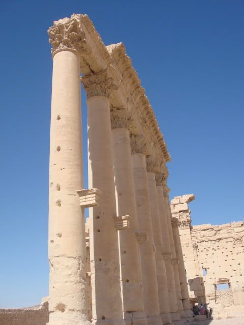 DSC02011.jpg