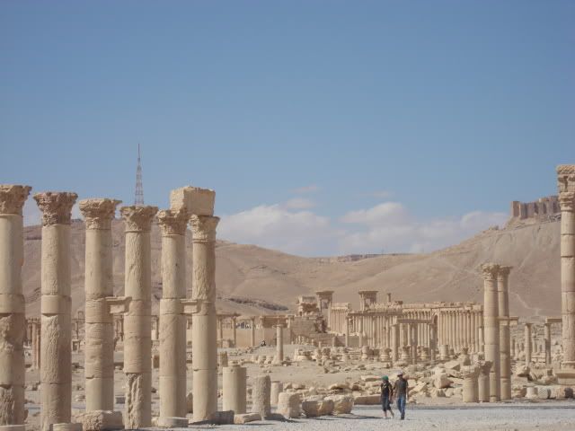 DSC02040.jpg
