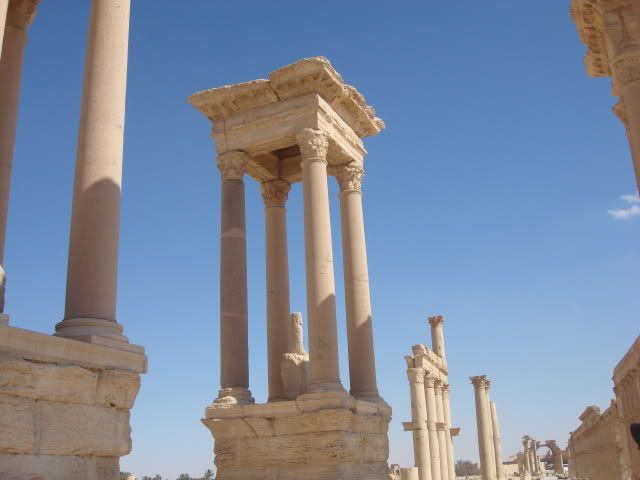 DSC02085.jpg