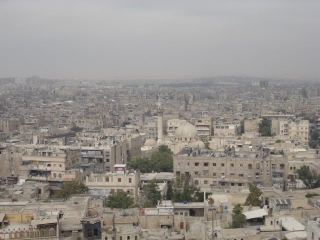 DSC02244.jpg