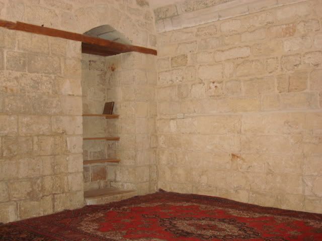 DSC02248.jpg