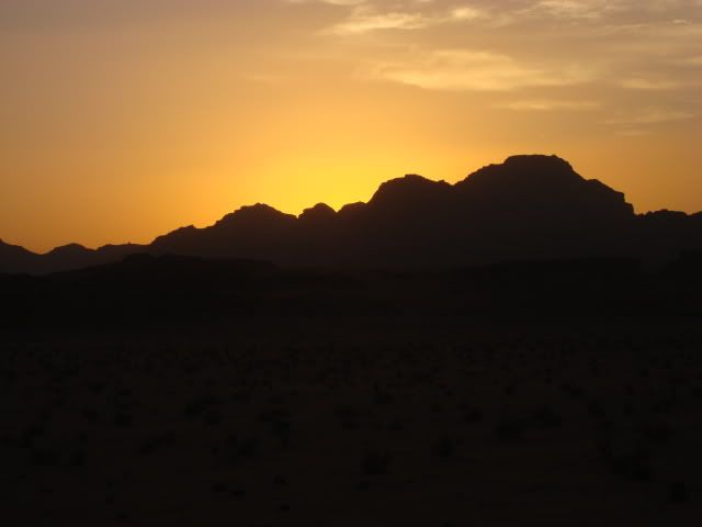 DSC02634.jpg