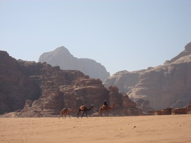 DSC02698.jpg