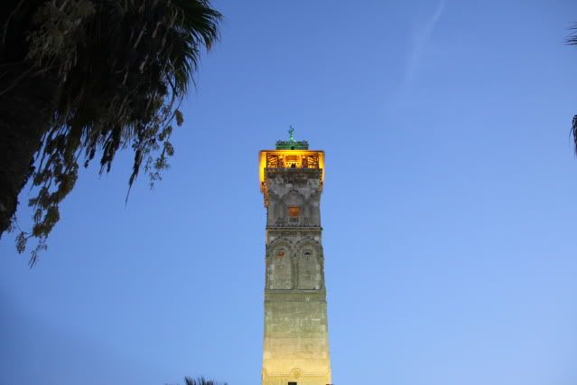 IMG_2028.jpg