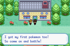 [PokeCommunity.com] Pokemon Amber