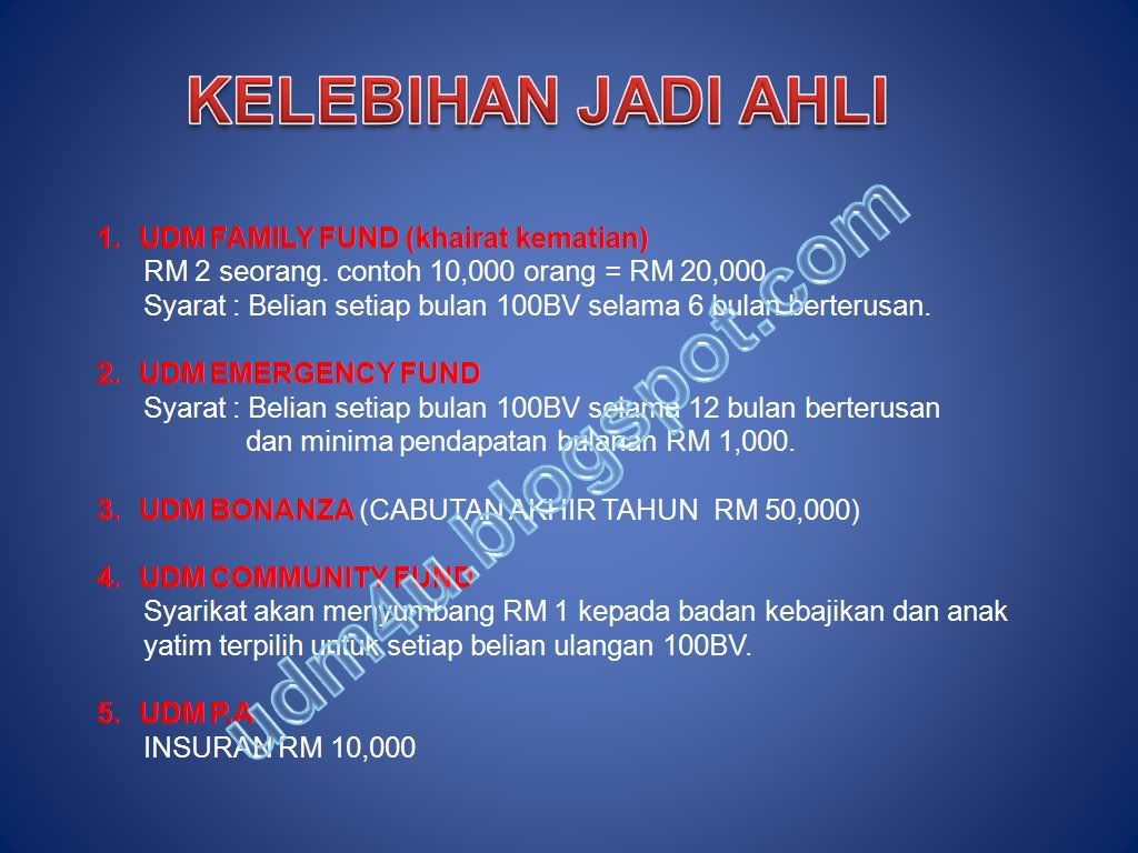 plan11.jpg