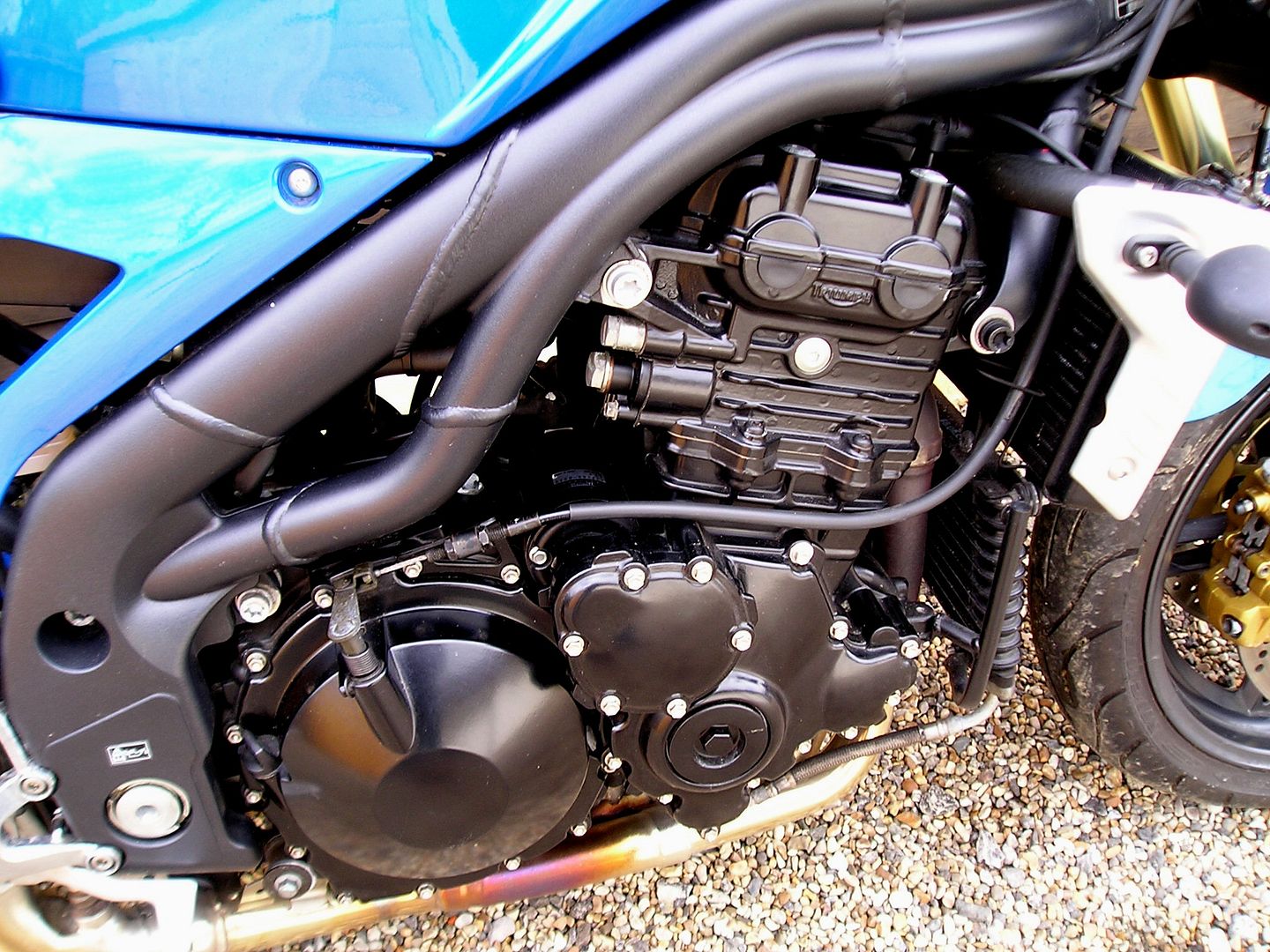  photo P1010035_zpsuncggtuj.jpg